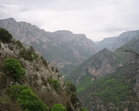 241_DSCF9632 Ici on se demande comment on continue : descente raide ou traversée de la barre rocheuse ?