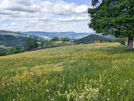 2022-05 Alsace - Vosges