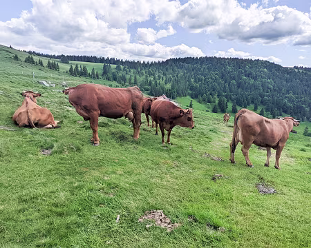 20220525-16h24m10s-PXL_20220525_142410980-V3