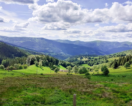 20220525-16h31m46s-20220525_163148-V3