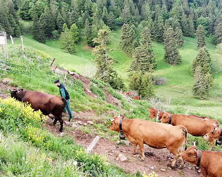 20220526-07h58m23s-IMG_20220526_075822-V3