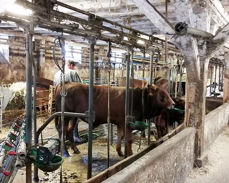 20220526-08h00m55s-IMG_20220526_080053-V3