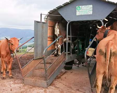 20220526-08h03m41s-IMG_20220526_080337-V3