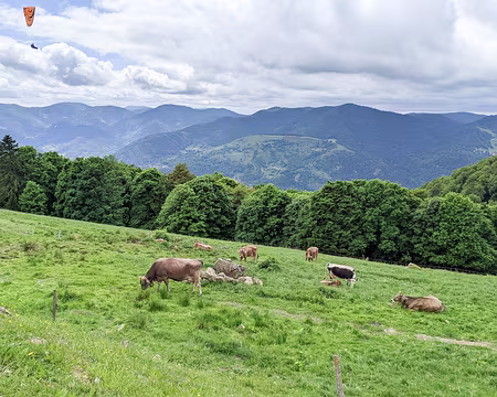 20220526-14h54m18s-PXL_20220526_125418509-V3