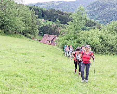 20220526-16h56m35s-PXL_20220526_145635113-V3