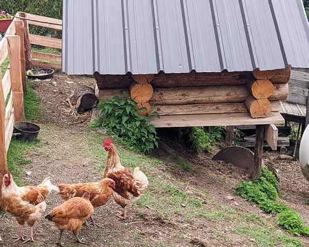 20220527-09h46m04s-PXL_20220527_074604462-V3