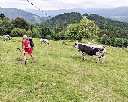 20220527-10h32m36s-PXL_20220527_083236330-V3