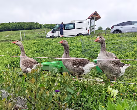 20220527-13h09m48s-PXL_20220527_110948456-V3