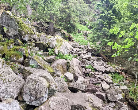 20220528-09h43m51s-PXL_20220528_074351738-V3