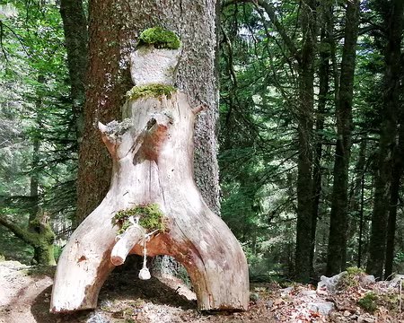 20220528-11h55m21s-IMG_20220528_115520-V3