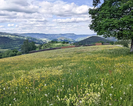 20220528-17h25m23s-PXL_20220528_152523514-V3