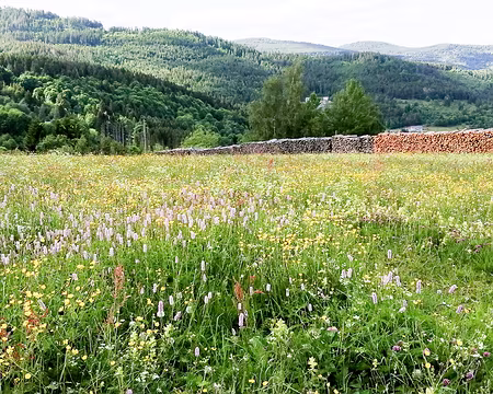 20220528-17h27m13s-IMG_20220528_172712-V3