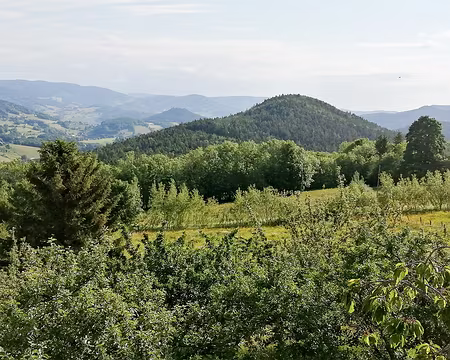 20220529-08h42m28s-IMG_20220529_084226-V3