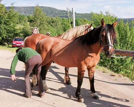 20220529-08h52m15s-IMG_20220529_085215-V3