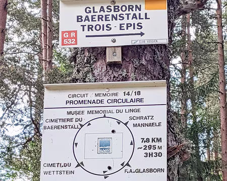 20220529-09h29m24s-PXL_20220529_072924290-V3