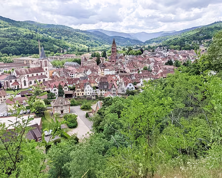 20220529-14h45m27s-PXL_20220529_124527894-V3