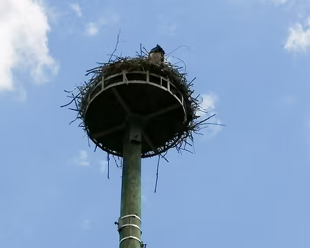 20220529-15h13m12s-IMG_20220529_151310-V3