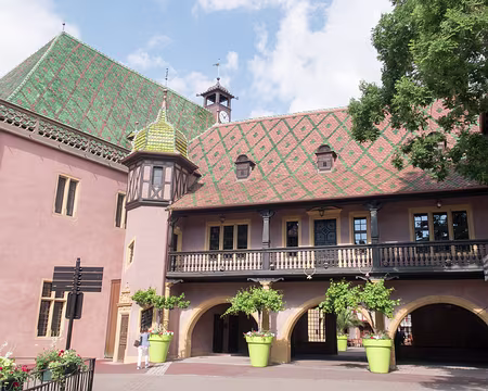 20220529-15h18m34s-IMG_4264-V3