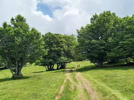 2022-05 Ballon d'Alsace