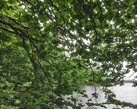 20220527_104250-01 Lac d'Alfeld