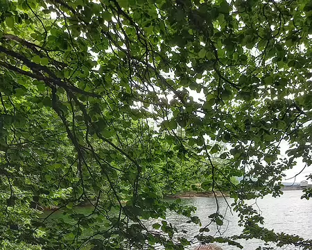 20220527_104250-01 Lac d'Alfeld