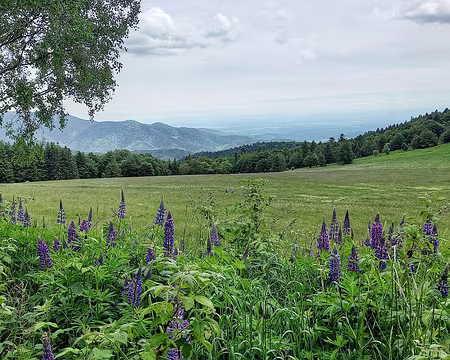 20220528_140200-01 Alpage de la Haute Bers