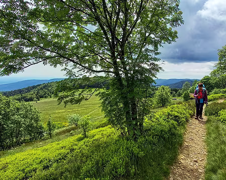 20220528_141021-01 Montée à la Tête des Perches.