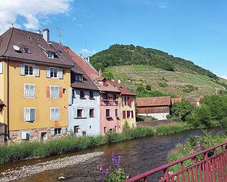 20220529_173522-01 Thann et son vignoble