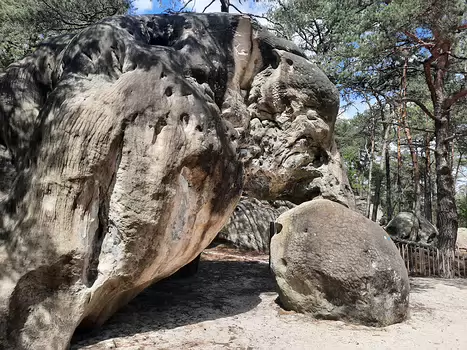 2022-05 Bois de la Commanderie