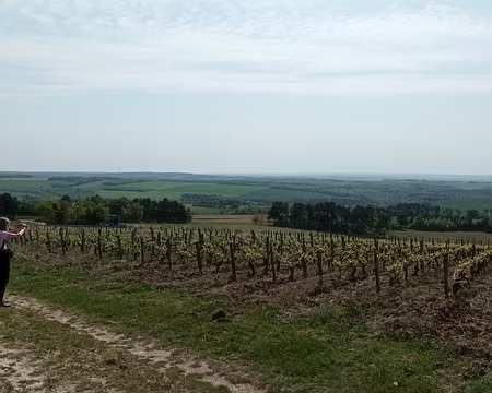 006 Irancy s'engage pour la préservation de la Biodiversité