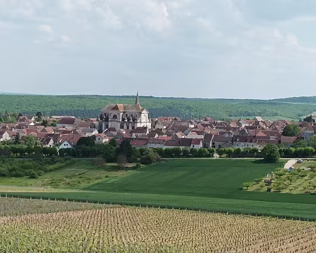 028 vue sur Coulanges-la-Vineuse