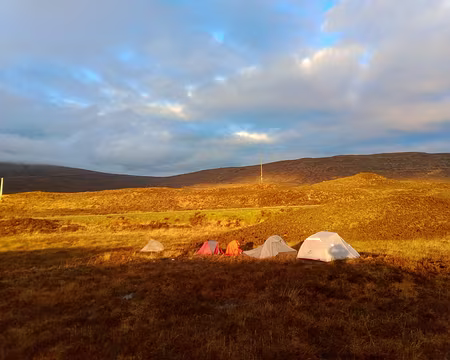 IMG_20220501_062822278 ai