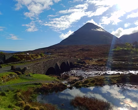 IMG_20220501_084507327 ai