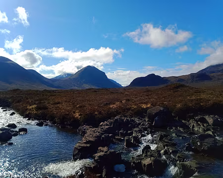 IMG_20220501_092859924 ai