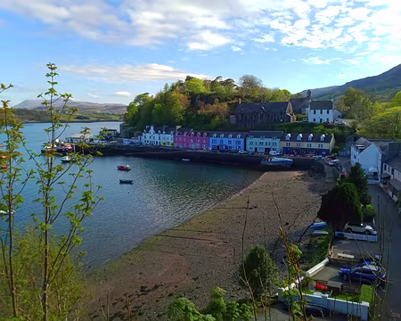 IMG_20220502_171526399 ai