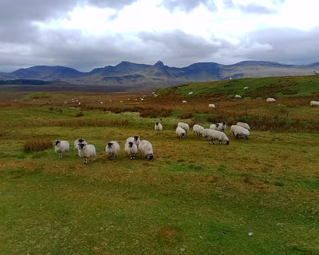 IMG_20220503_143322183 ai