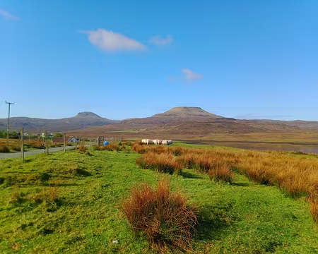 IMG_20220507_090947534 ai