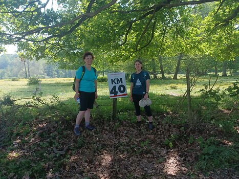 Alice P Alice P, détail sortie