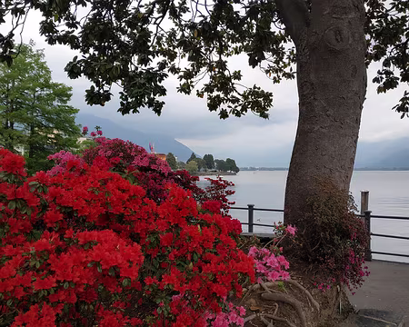 IMG_20220507_192002_Locarno 07-05-2022 Arrivée à Locarno