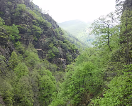 Rio Pogallo Rio Pogallo