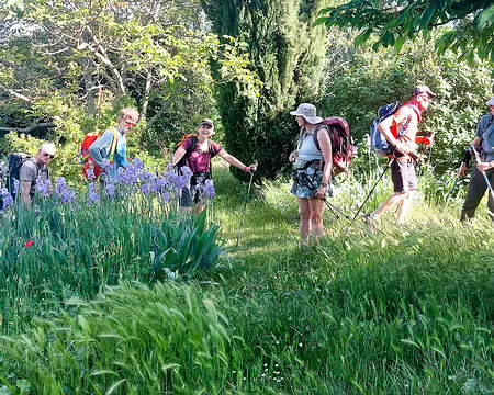 20220517-17h48m30s-20220517_174830-V3