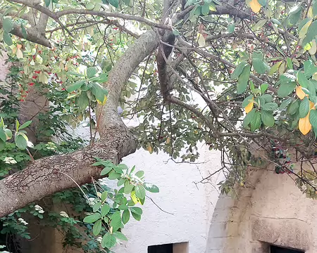 20220518-10h44m43s-20220518_104443-V3