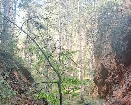 20220519-09h30m28s-20220519_093027-V3