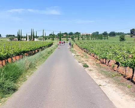 20220520-10h50m03s-20220520_105003-V3