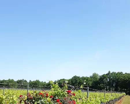 20220520-10h53m13s-20220520_105313-V3