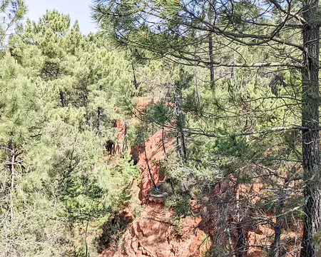 20220520-11h21m42s-PXL_20220520_092142375-V3