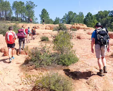 20220520-11h24m46s-20220520_112446-V3