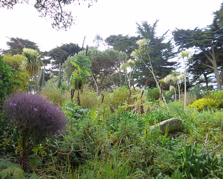 P1150139 Visite du jardin Georges Delaselle (1861-1944) qui créa un jardin d'acclimatation en 1897. Rocaille africaine