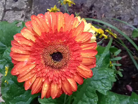 2022-05 Tarn-et-Garonne