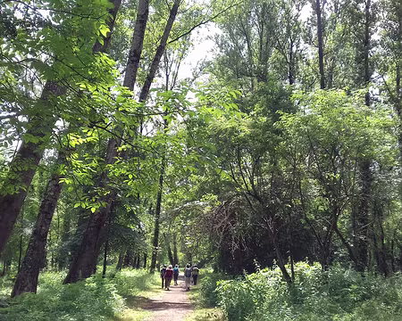 012 Chemin dans la vallée de la Lère